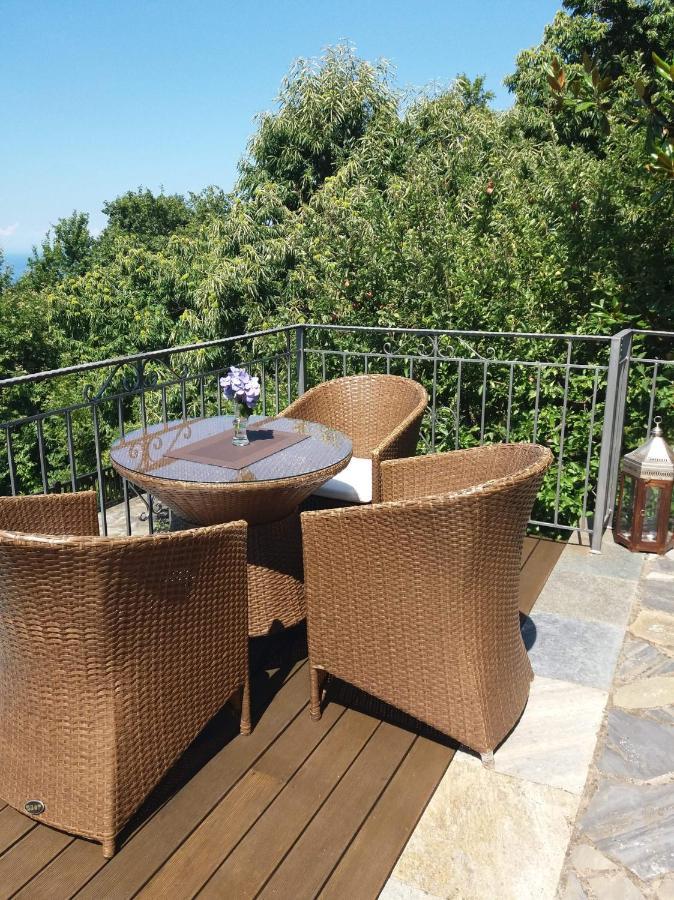 Aroma Piliou - Άρωμα Πηλίου Hotel Mourésion Exterior foto